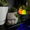 Styrofoam Eyeball Orbs Halloween Tabletop Decorations 3 1/2 Inch